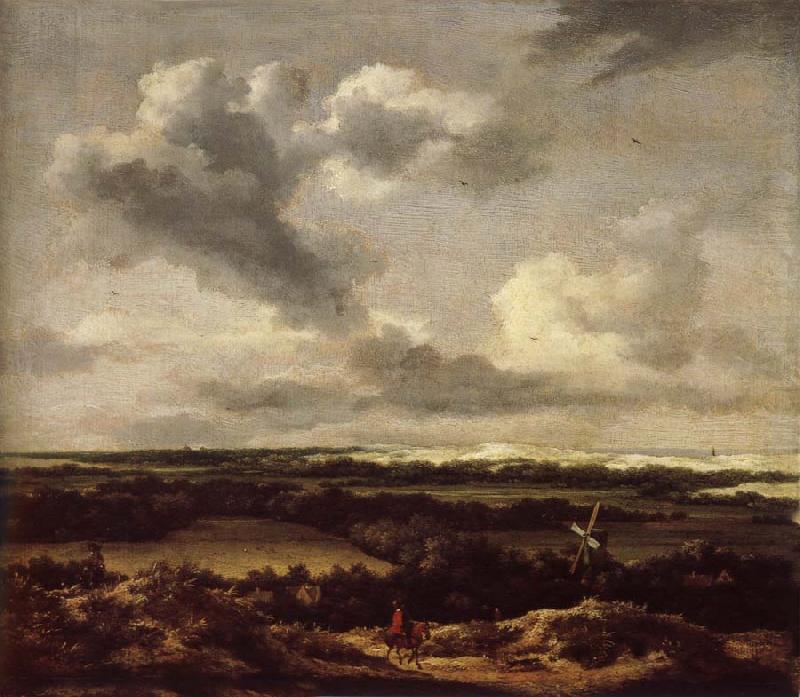 Dune landscape with a rabbit hunt, Jacob van Ruisdael